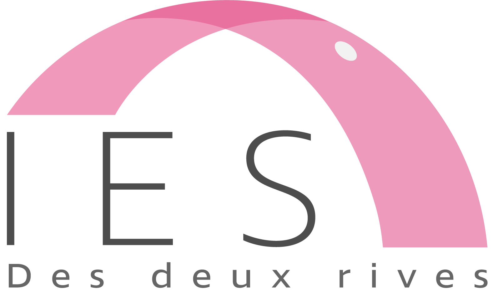 institute-du-sein-logo